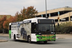 Bus-447-Pitman-St-Tuggeranong
