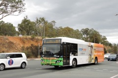 Bus-448-College-Street