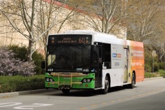 Bus-448-Tuggeranong-Bus-Station