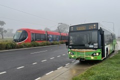 453 & Tram 005 Flemington Rd