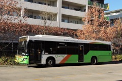 Bus-455-Tuggeranong-Bus-Station