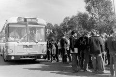 Bus-458