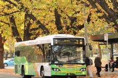 Bus-459-Barton-Bus-Station