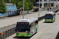 Bus-459-Belconnen-Community-Bus-Station-with-Bus-460-