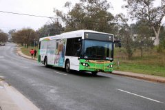 Bus459-WhiteCr-1