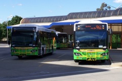 Bus-460-Woden-w463