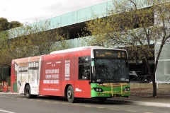 Bus-463-Woden-Bus-Station-2-