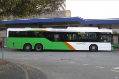 Bus-464-Woden-Interchange