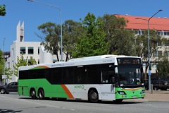 Bus-467-Reed-Street