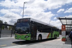 Bus467- Westfield Belconnen