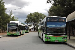 Bus-473-Kippax-Terminus-with-Bus-321-and-Bus-588-
