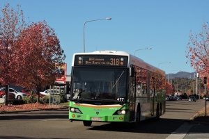 BUS 477-2