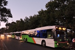 Bus-481-Limestone-Avenue