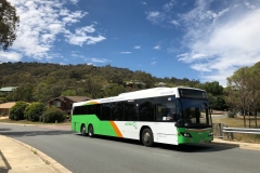 Bus-482-Templestowe-Avenue