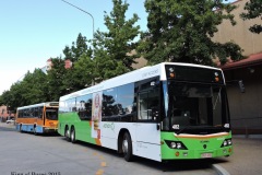 Bus482-Tuggeranong-Bus-Station