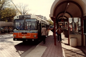 BUS 484-1