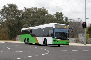 BUS 485-2