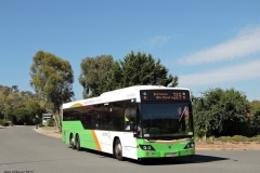 Bus-486-Templestowe-Avenue