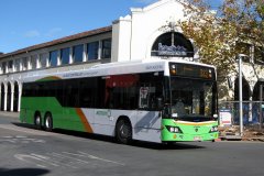 Bus486-CityBs-1