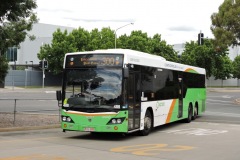 Bus-488-Woden-Bus-Station