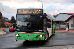 Bus489-Hardwick-1