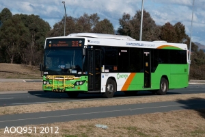 BUS 491-2