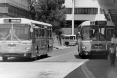 Bus 492 - Woden Interchange