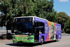 Bus-498-Woden-Bus-Station