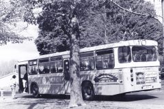 Bus 501 - Schlich St