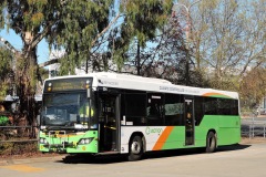 Bus-504-Woden-Bus-Station