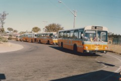 Bus-506-Higgins-Interchange