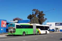 Bus 507- Cohen Street