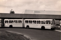 Bus-510-Woden-Interchange-01