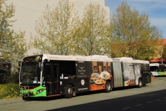 Bus-514-Tuggeranong-Bus-Station