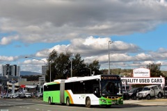 Bus-515-Cohen-Street-Bus-Station