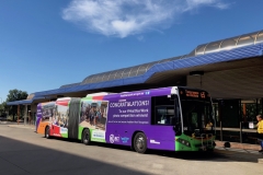 Bus-516-Woden-Bus-Station