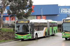 Bus-525-Cohen-Street-Bus-Station