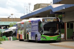 Bus-527-Woden-Bus-Station