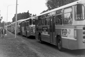 BUS 528-1