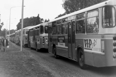 Bus-528