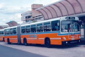 BUS 537-1