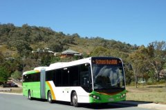 BUS 537 - TEMPLESTOWE AVE