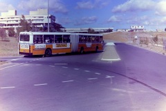 Bus-539-Emu-Bank
