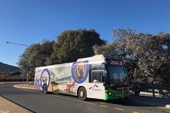 Bus-540-Conder-Terminus