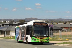 Bus-542-Bernard-Heinze-Avenue