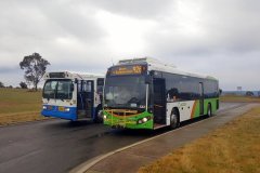 Bus542-Chapman-1-w2619