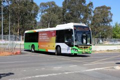 Bus543-Northbourne-1