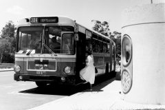 Bus 544 - Russell Dr