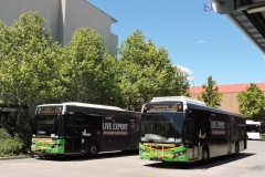 BUS 550 - Tuggeranong (with BUS 446)