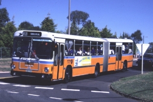 BUS 551-1